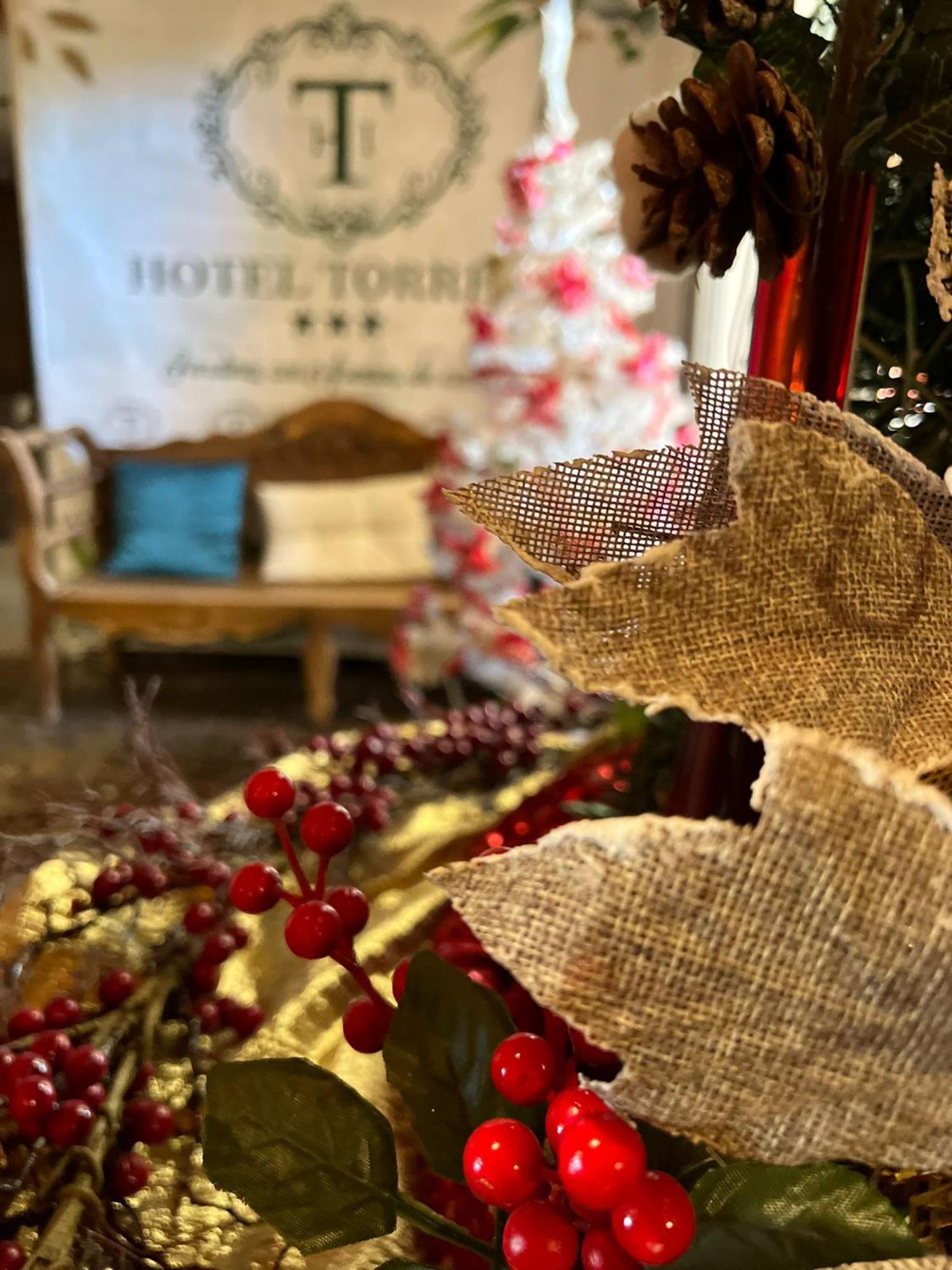 托雷斯i酒店 维拉纽瓦德奥佐 外观 照片